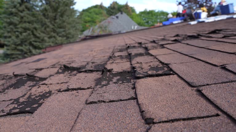 Best Sheet Metal Roofing  in Meadow Oaks, FL
